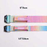 Pastel Icing Collar