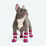 Dog Rainboots, Waterproof Dog Shoes - Fuchsia Camo