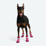 Dog Rainboots, Waterproof Dog Shoes - Fuchsia Camo