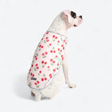 Dog Cooling Vest - Cherries