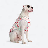 Dog Cooling Vest - Cherries