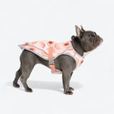 Dog Cooling Vest - Peaches