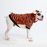 Halloween Dog Hoodie - Tiger (2)