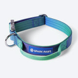 Comfort Control Collar Set - Lime Wave