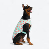Dog Cooling Vest - Watermelon