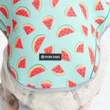 Dog Cooling Vest - Watermelon