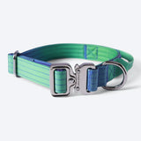 Comfort Control Collar - Lime Wave