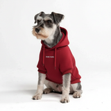 Essential Burgandy Hoodie||size:M