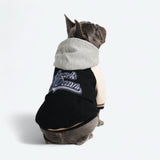 Dog Varsity Jacket - Black