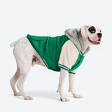 Dog Varsity Jacket - Green