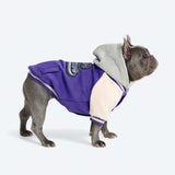 Purple Varsity Jacket