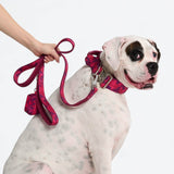 Fuchsia Camo Neoprene Leash