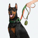 Comfort Control Collar - Green Orange