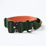 Comfort Control Collar - Green Orange