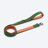 Comfort Control Collar - Green Orange