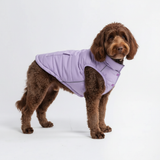 Lilac Warmshield Jacket||size:2XL