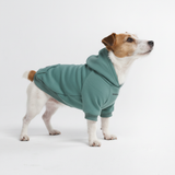 Essential Teal Hoodie||size:L