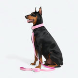 Comfort Control Collar - Pink