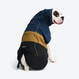 Dog Raincoat - Blue Gold Black||size:S,M,L,XL,2XL,3XL,4XL
