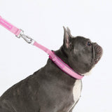 Pink Martingale Collar||size:A,B