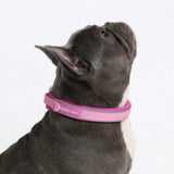 Pink Martingale Collar||size:A,B