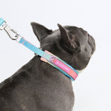 Pastel Icing Martingale Collar||size:A,B