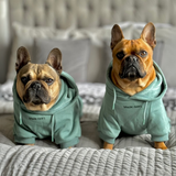 Essential Teal Hoodie||size:S,M,L,XL,2XL,3XL,4XL,5XL