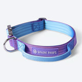 Comfort Control Collar - 90s Retro