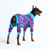 Planets PJ