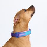 90s Retro Martingale Collar||size:C,D,E