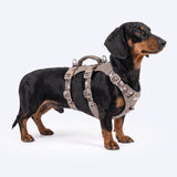Tan Camo Escape Proof||size:1