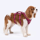 Fuchsia Camo Escape Proof||size:1