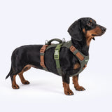 Green Brown Escape Proof||size:1