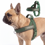 Army Green Grab and Go||size:2