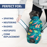 Dinosaurs Surgical Suit||size:S,M,L,XL,2XL,3XL,4XL,5XL