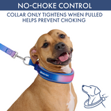 Snow Cone Martingale Collar||size:C,D,E