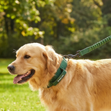 Green Martingale Collar||size:A,B,C,D,E