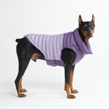 Purple PuffShield Jacket||size:S,M,L,XL,2XL,3XL,4XL