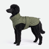 Green Quilted Winter Jacket||size:2XL