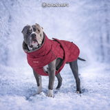Red Quilted Winter Jacket||size:S,M,L,XL,2XL,3XL,4XL