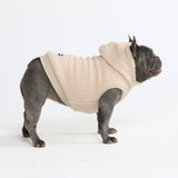 Teddy Sherpa Dog Sweater - Beige