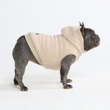 Teddy Sherpa Dog Jacket - Beige