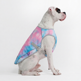 Snow cone Cooling Vest||size:3XL