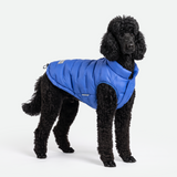 Blue Thermosonic Winter Jacket||size:2XL