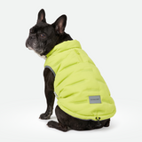 Neon Thermosonic Winter Jacket||size:L