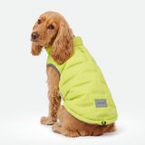 Neon Thermosonic Winter Jacket||size:XL