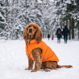 Orange Thermosonic Winter Jacket||size:S,M,L,XL,2XL,3XL,4XL
