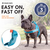 Teal Apricot Grab and Go||size:1,2,3,4,5,6