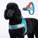 Teal Apricot Grab and Go||size:4