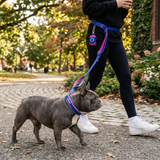 Snow Cone Martingale Collar||size:A,B,C,D,E